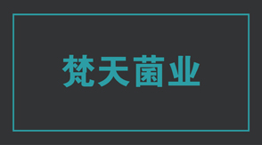 食品行业漳州冲锋衣设计款式